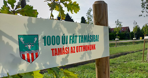 Folytatódik az 1000 fát Tamásiba program